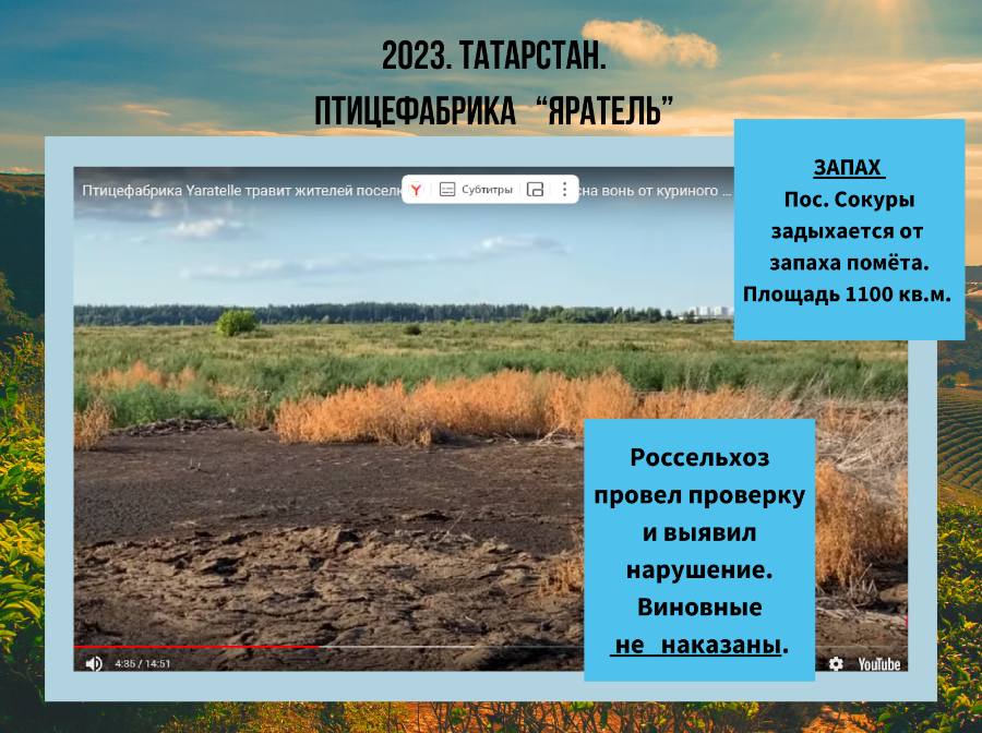 Провели экспертную дискуссию о загрязнении окружающей среды отходами животноводства на форуме «Экология большого города»