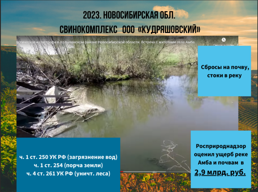Провели экспертную дискуссию о загрязнении окружающей среды отходами животноводства на форуме «Экология большого города»