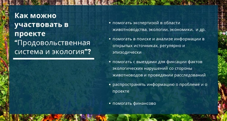 Презентация нового проекта «Продовольственная система и экология»: рассказываем, о чём он и как помогает животным