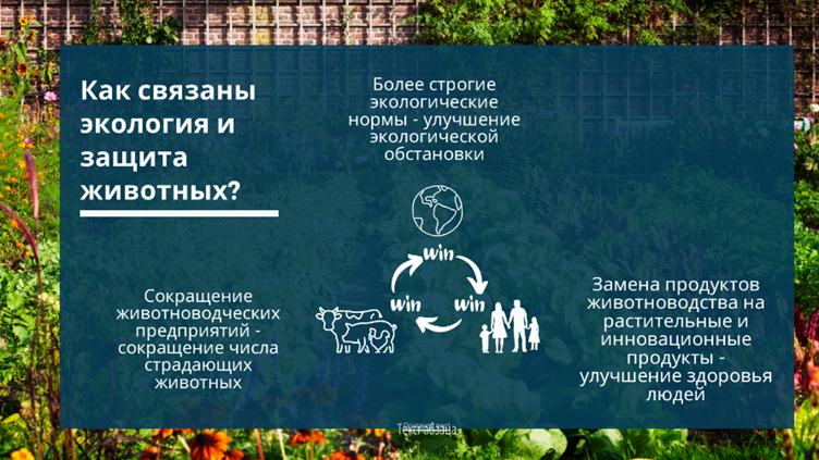 Презентация нового проекта «Продовольственная система и экология»: рассказываем, о чём он и как помогает животным