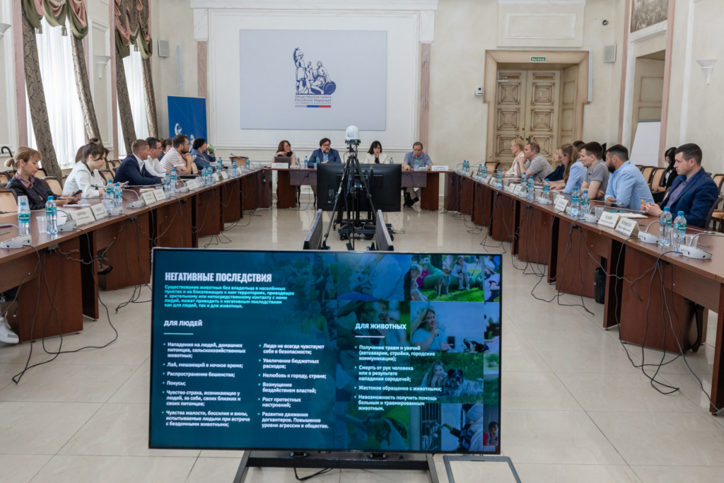 Формируем федеральную концепцию ответственного отношения к животным: итоги заседания в Общественной палате РФ
