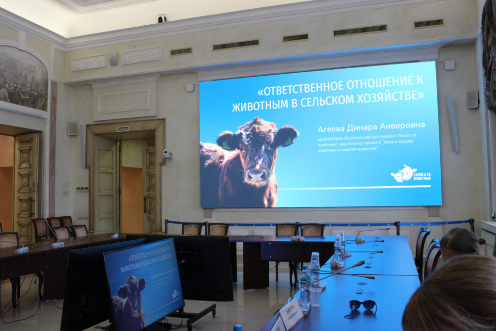 Формируем федеральную концепцию ответственного отношения к животным: итоги заседания в Общественной палате РФ