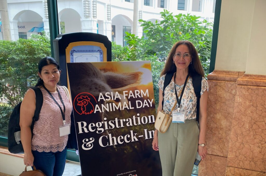 «Голоса за животных» представили Россию на конференции Asia Farm Animal Day