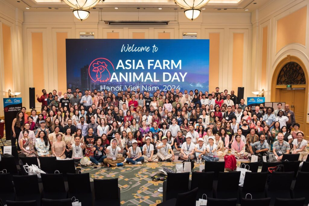 «Голоса за животных» представили Россию на конференции Asia Farm Animal Day