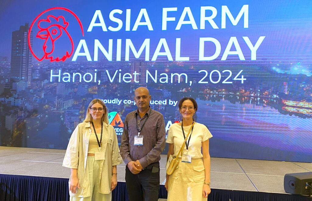 «Голоса за животных» представили Россию на конференции Asia Farm Animal Day