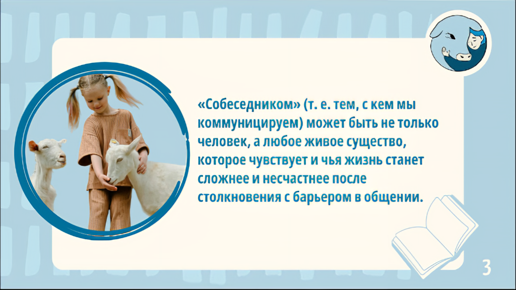Чем «Голоса за животных» занимались в ноябре-декабре 2024 года