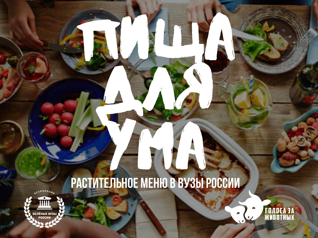 Запускаем новый проект «Пища для ума»: растительное меню в вузы России