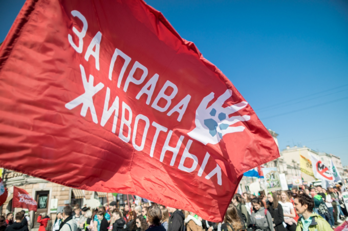 Как защита животных помогает людям. Большая статья о нашей организации в журнале “Окружающая среда Санкт-Петербурга”