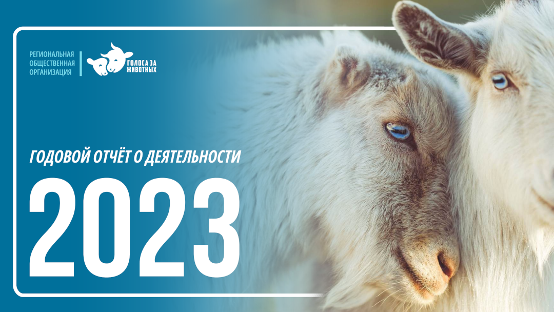 Наш годовой отчёт о работе за 2023 год отметился двумя наградами