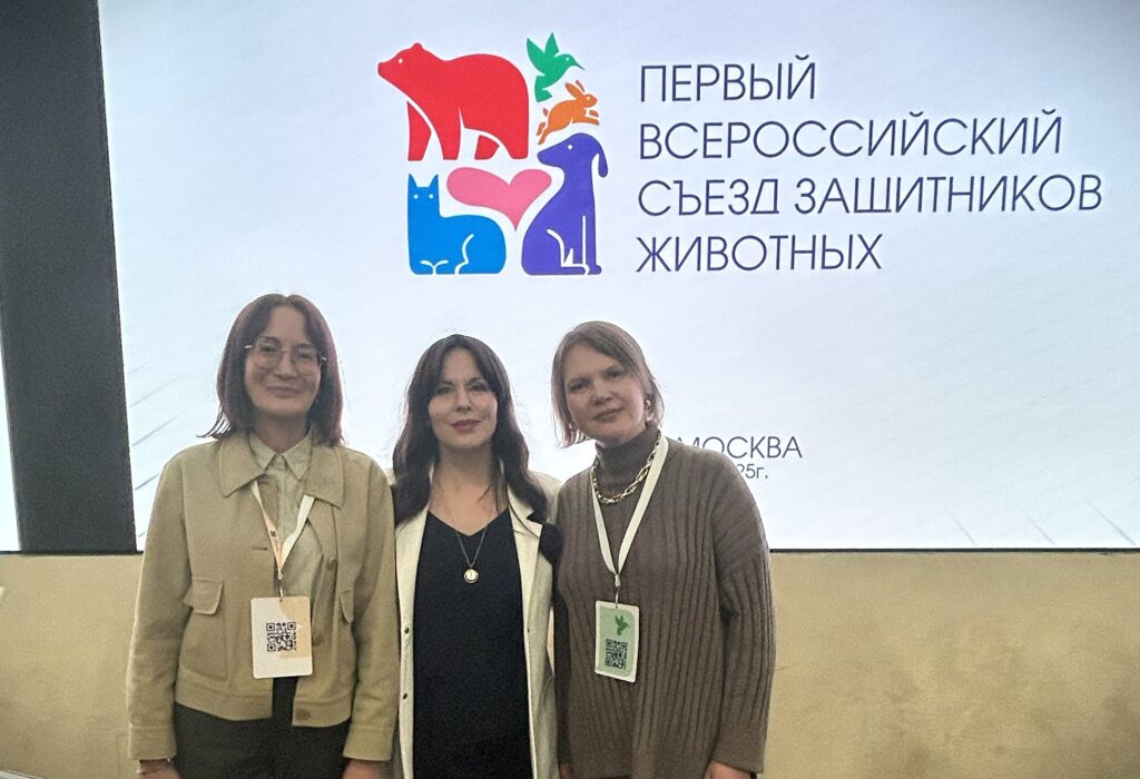 Подняли тему благополучия животных в сельском хозяйстве на Первом Всероссийском съезде защитников животных в Общественной палате России