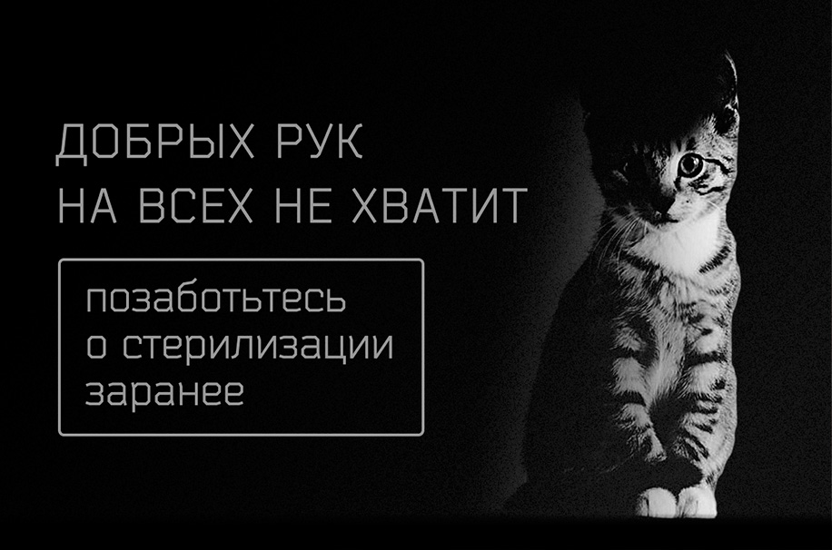 Стерилизация
