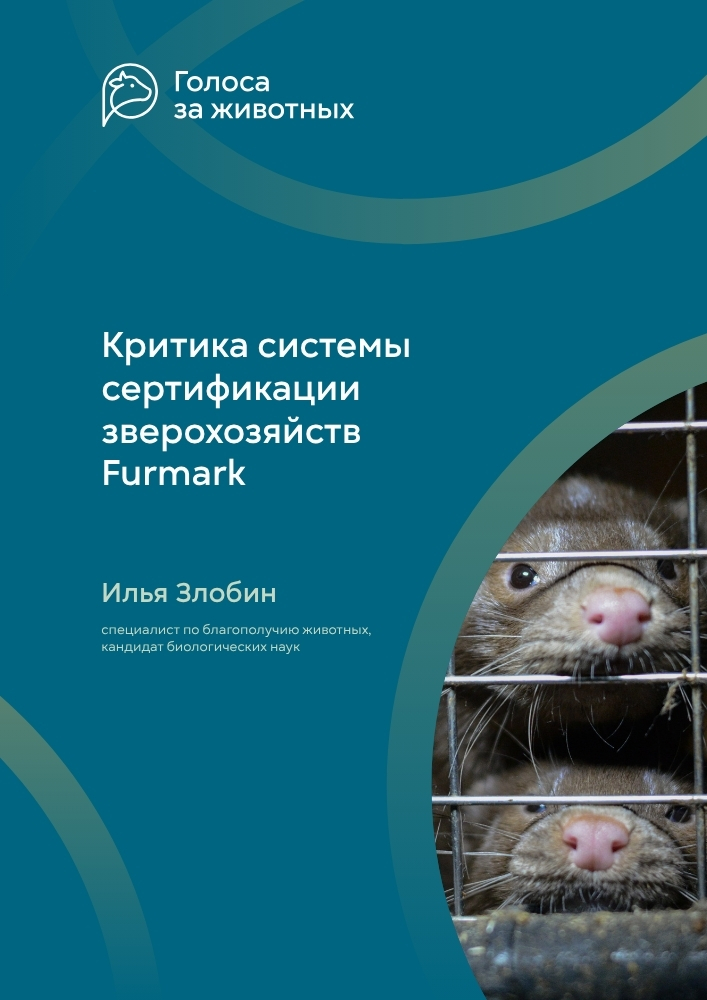Критика системы сертификации Furmark