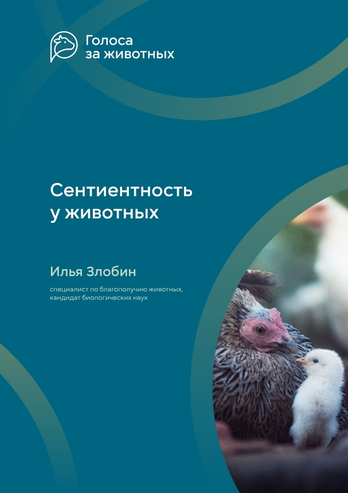 Сентиентность у животных