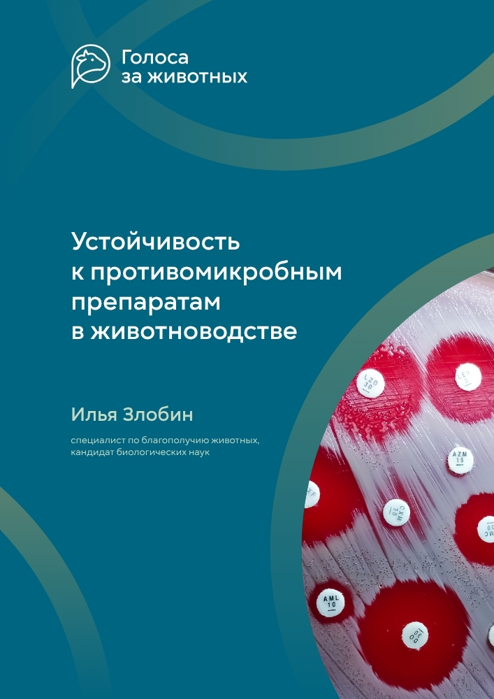 Устойчивость к противомикробным препаратам в животноводстве