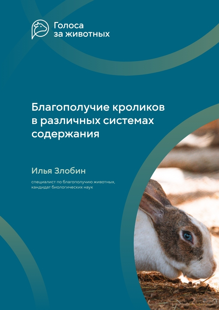 Благополучие кроликов в различных системах содержания