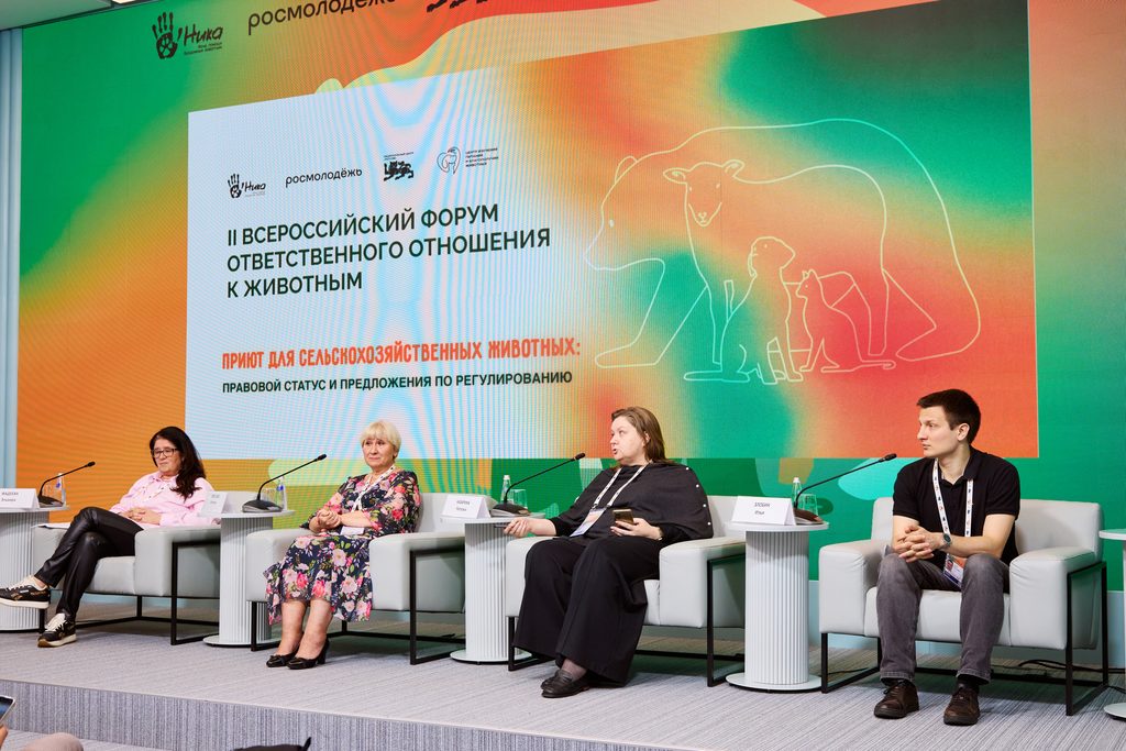 Как защитить животных из сельского хозяйства в условиях производственных нужд? Разобрали главные возражения против их включения в закон об ответственном обращении